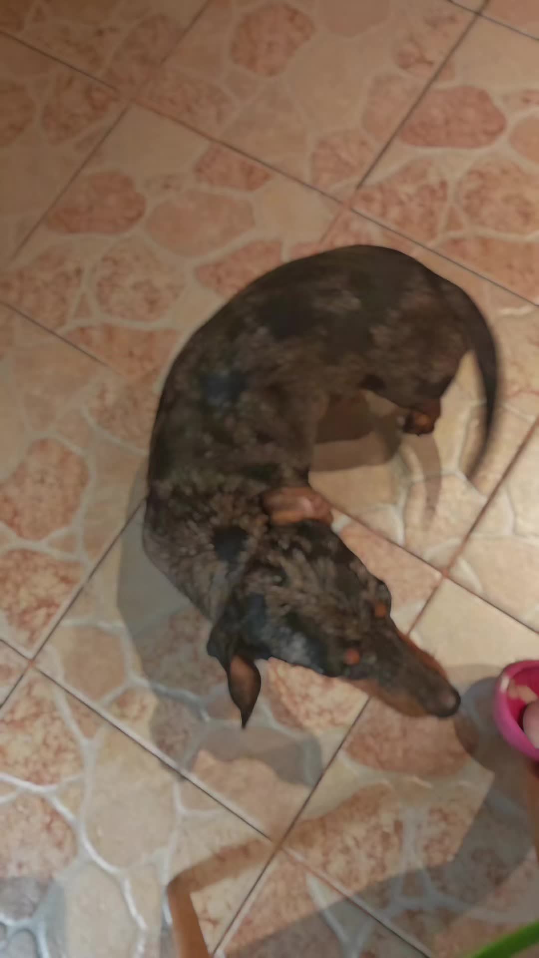 @Csak Vir&aacute;g 💕