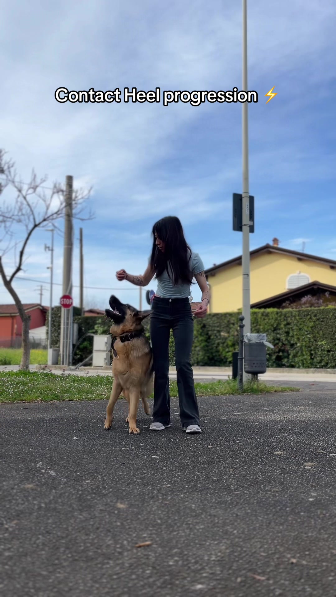 @wolker.amira