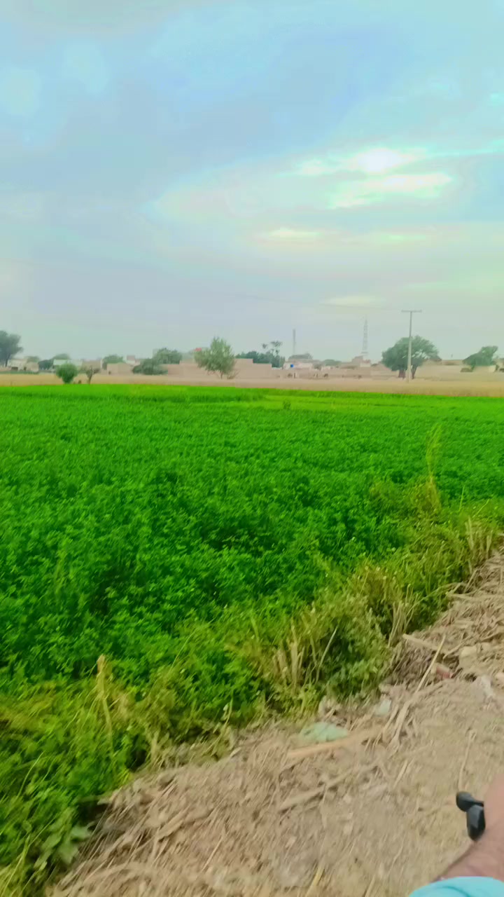 @Ladla Baloch