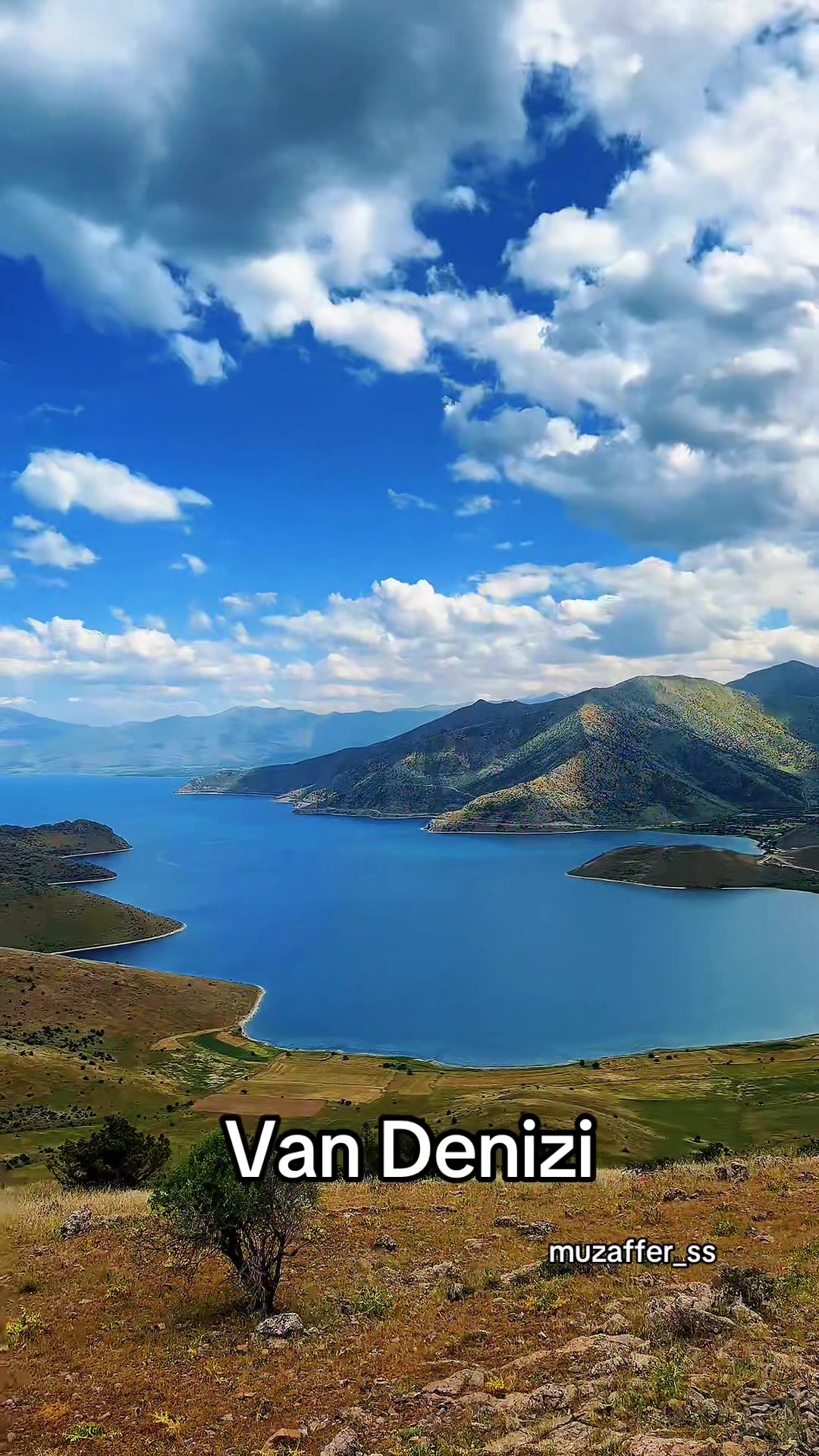 @Muzaffer Salcıoğlu