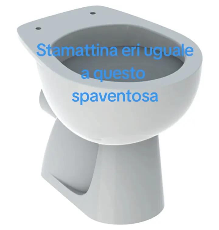 @user40911852295