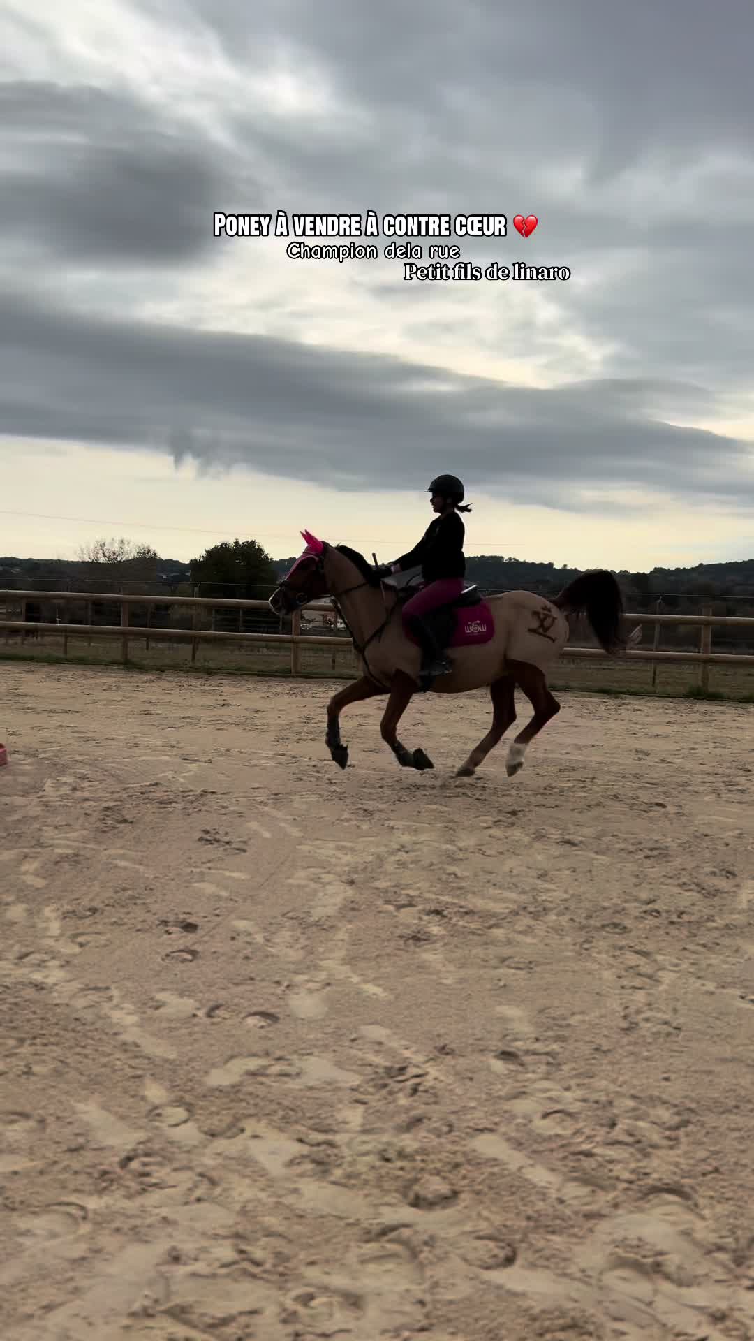 @Le&ensp;poney&ensp;qui&ensp;salut&ensp;les&ensp;jurys✨