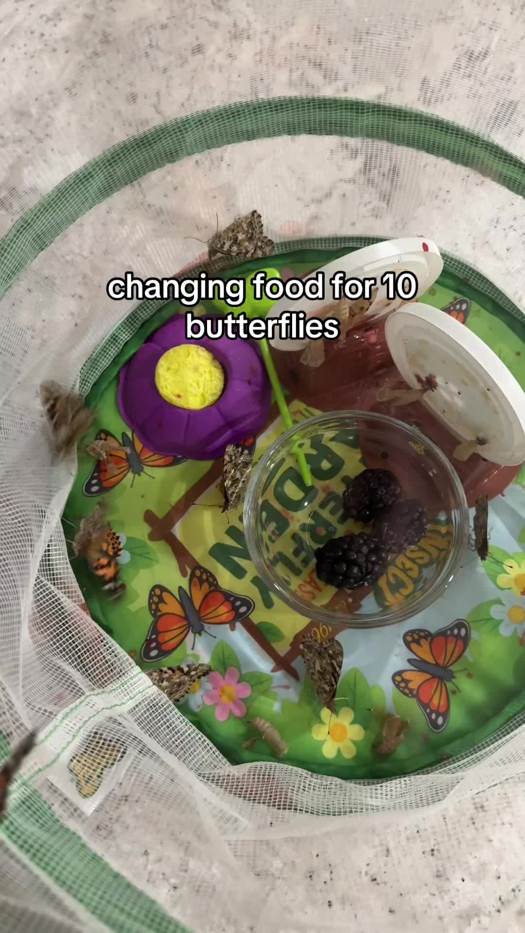 @GND