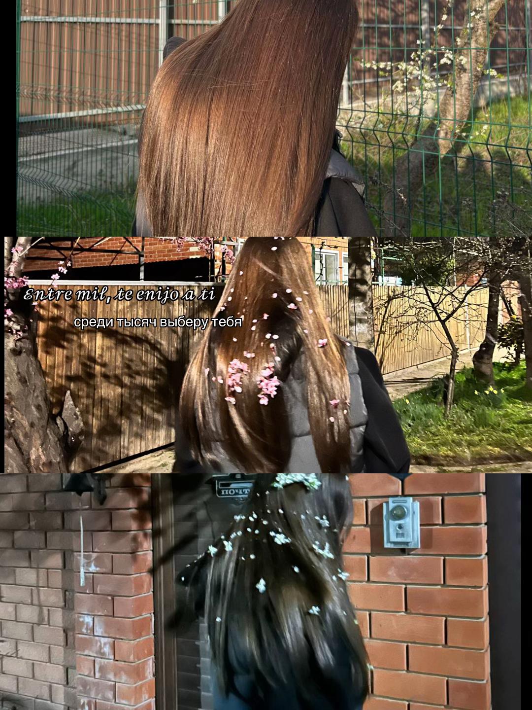 @ksennia