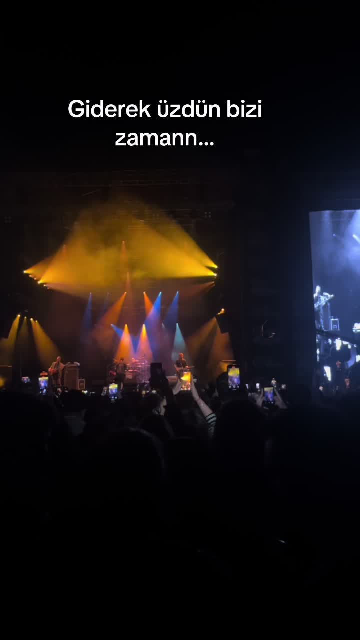 @merverazlk