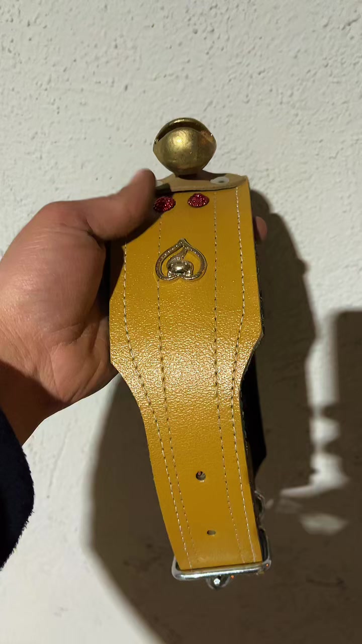 @GS SARACİYE GS BI&Ccedil;AK