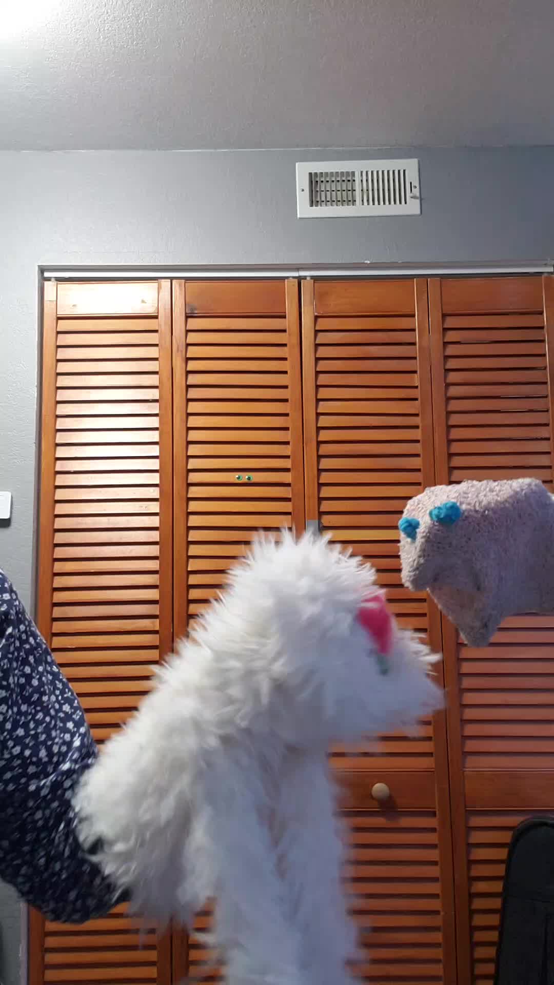 @the3puppet33rs