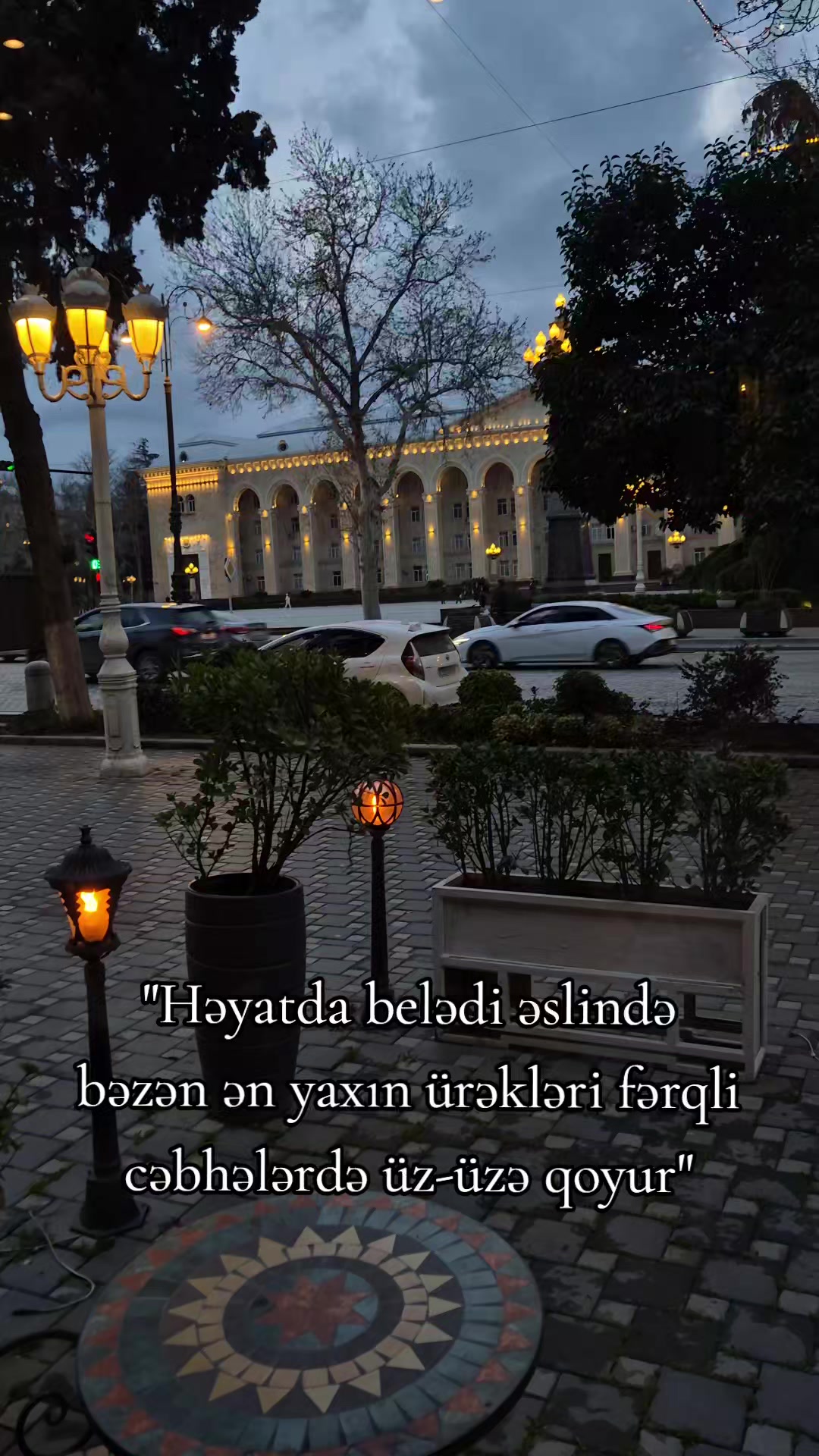@Aysel♑🤍
