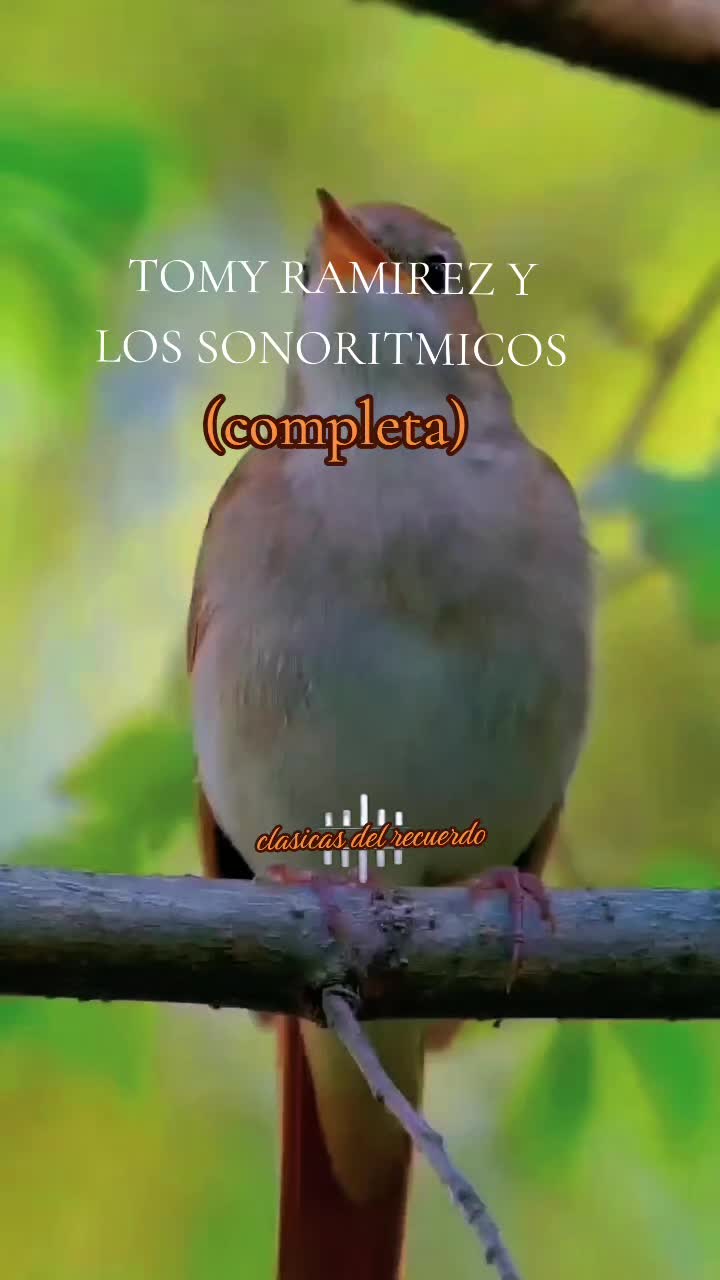 @🎼🥁musica del recuerdo🎸🎼🥁