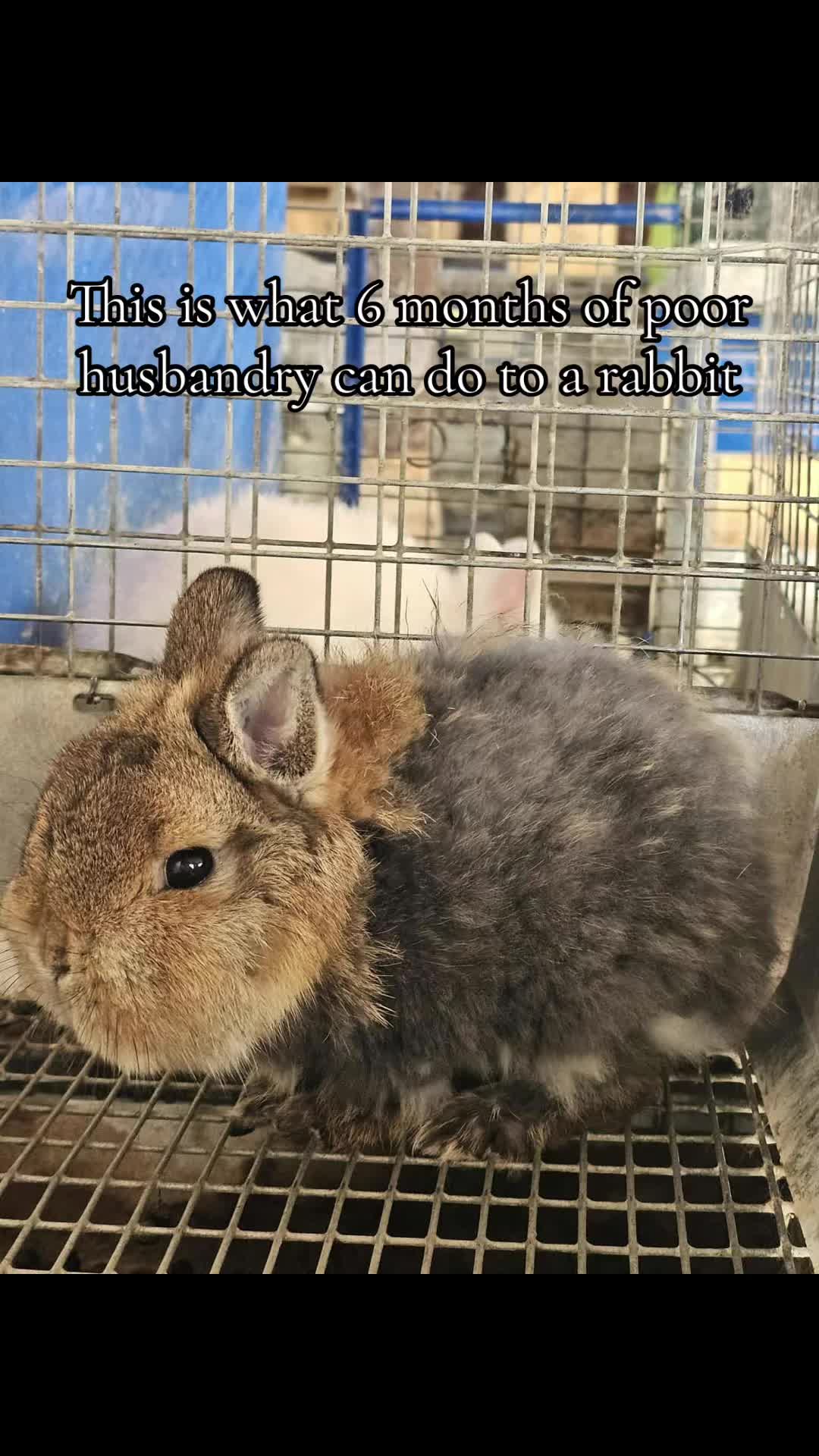 @Lane&Jo&rsquo;s Farm