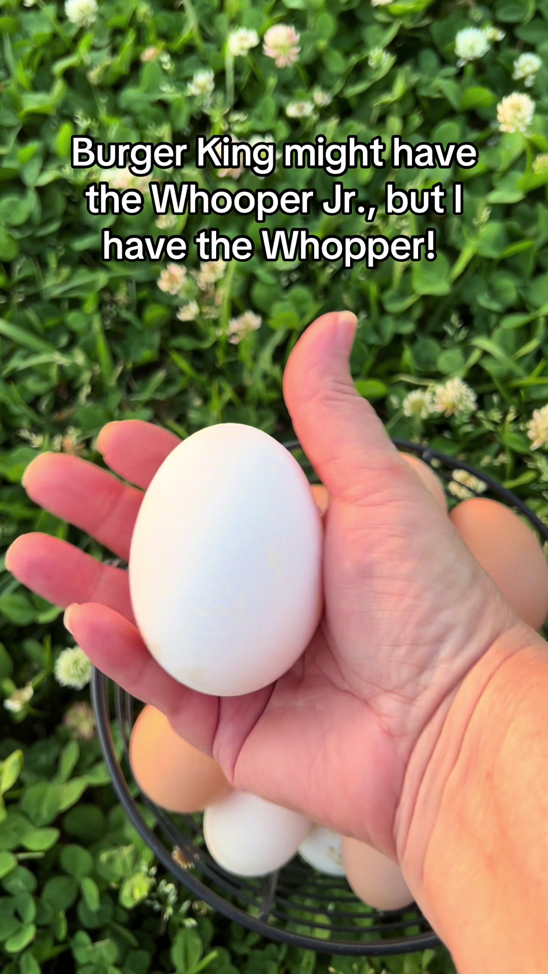 @heatherregister67