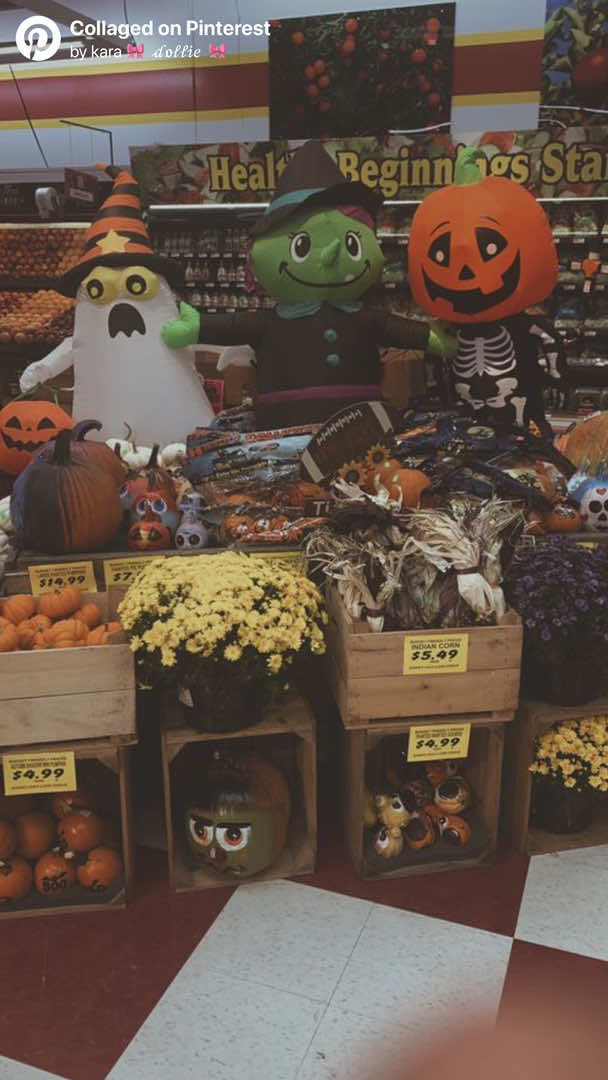 @🎃𝕽𝖆𝖈𝖍𝖊𝖑🦇