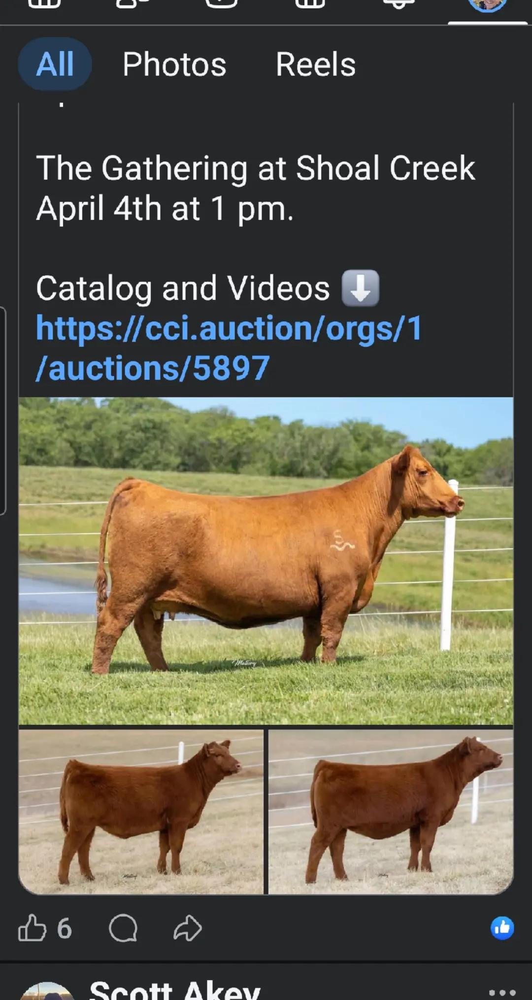 @hoggerwsa