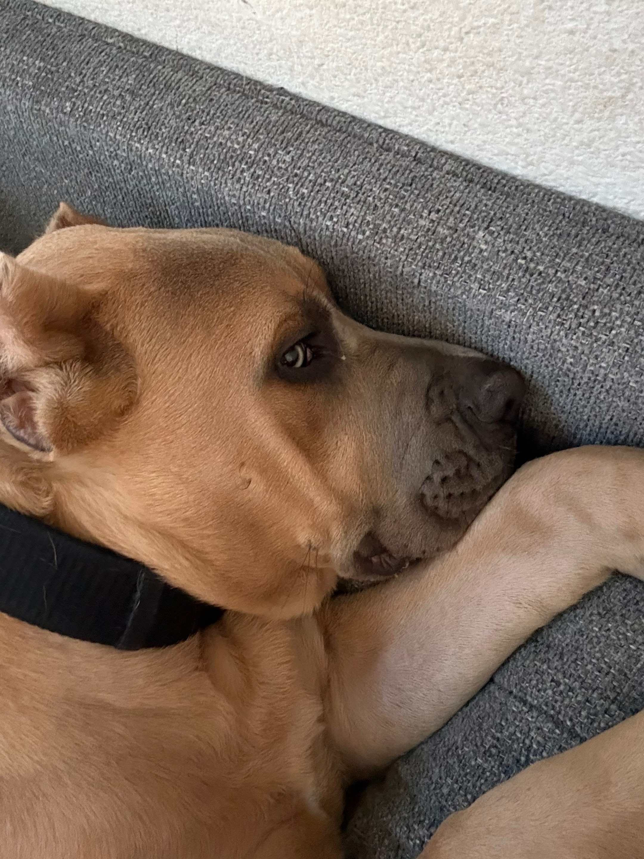 @fuckyouthatswhy88