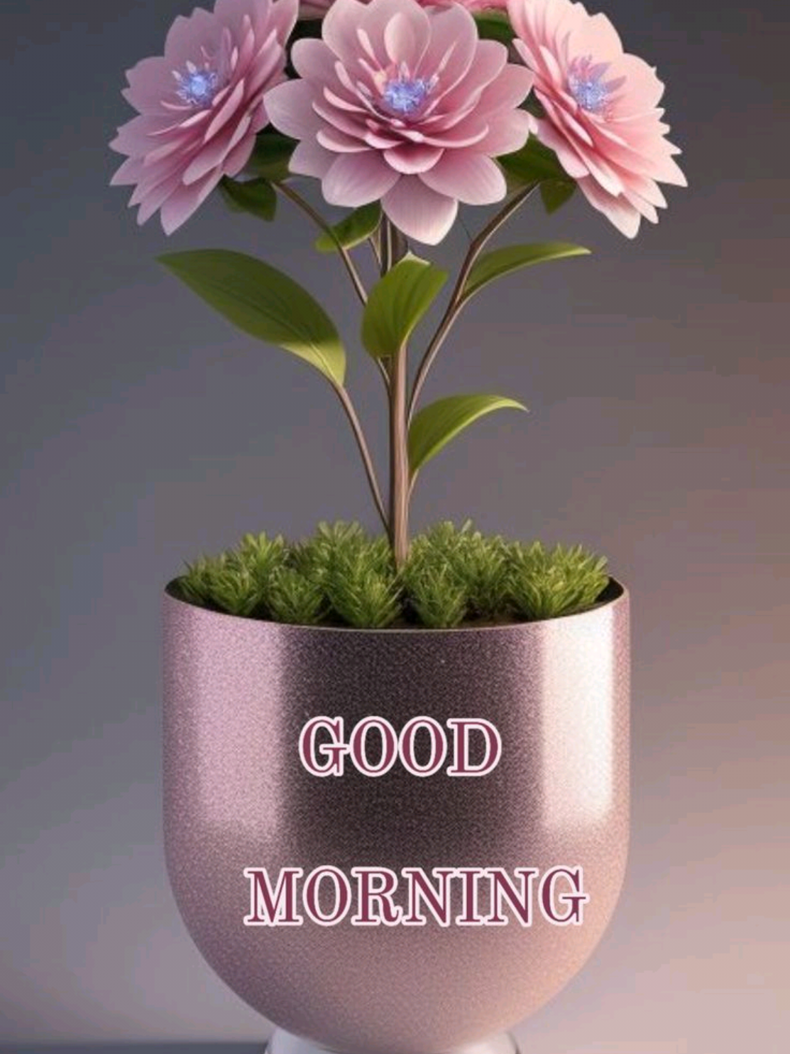 @EsRaj