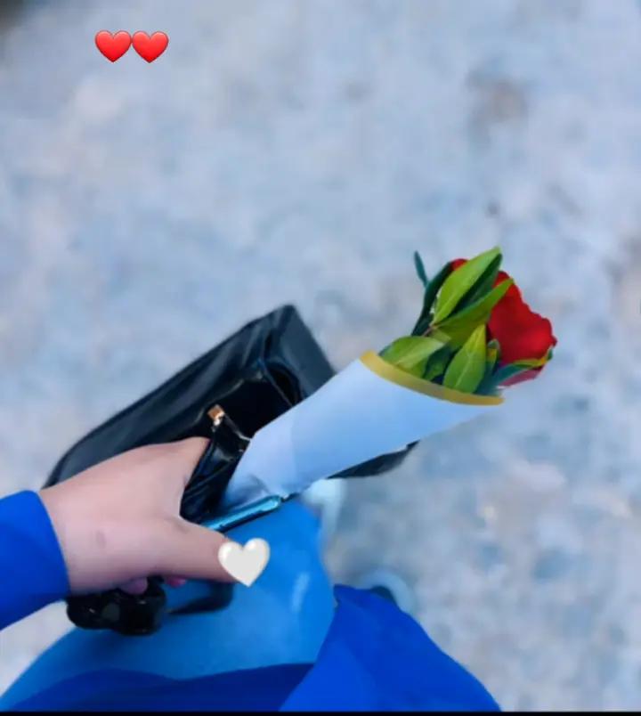 @Hounaida
