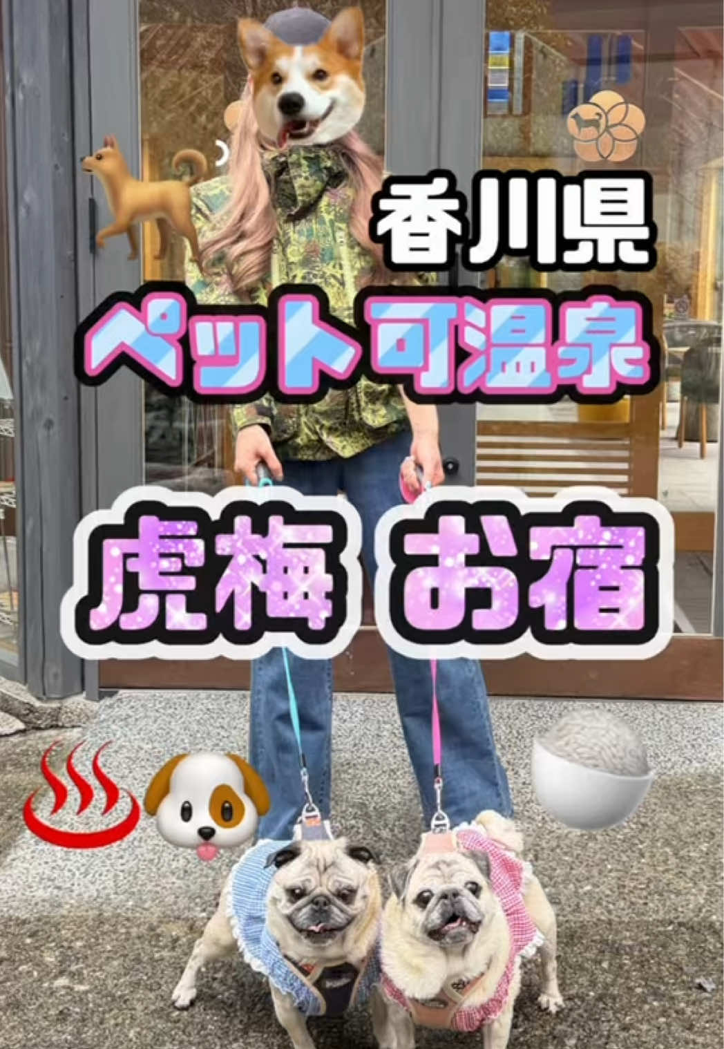 @ペコピノ🐶さっちゃん