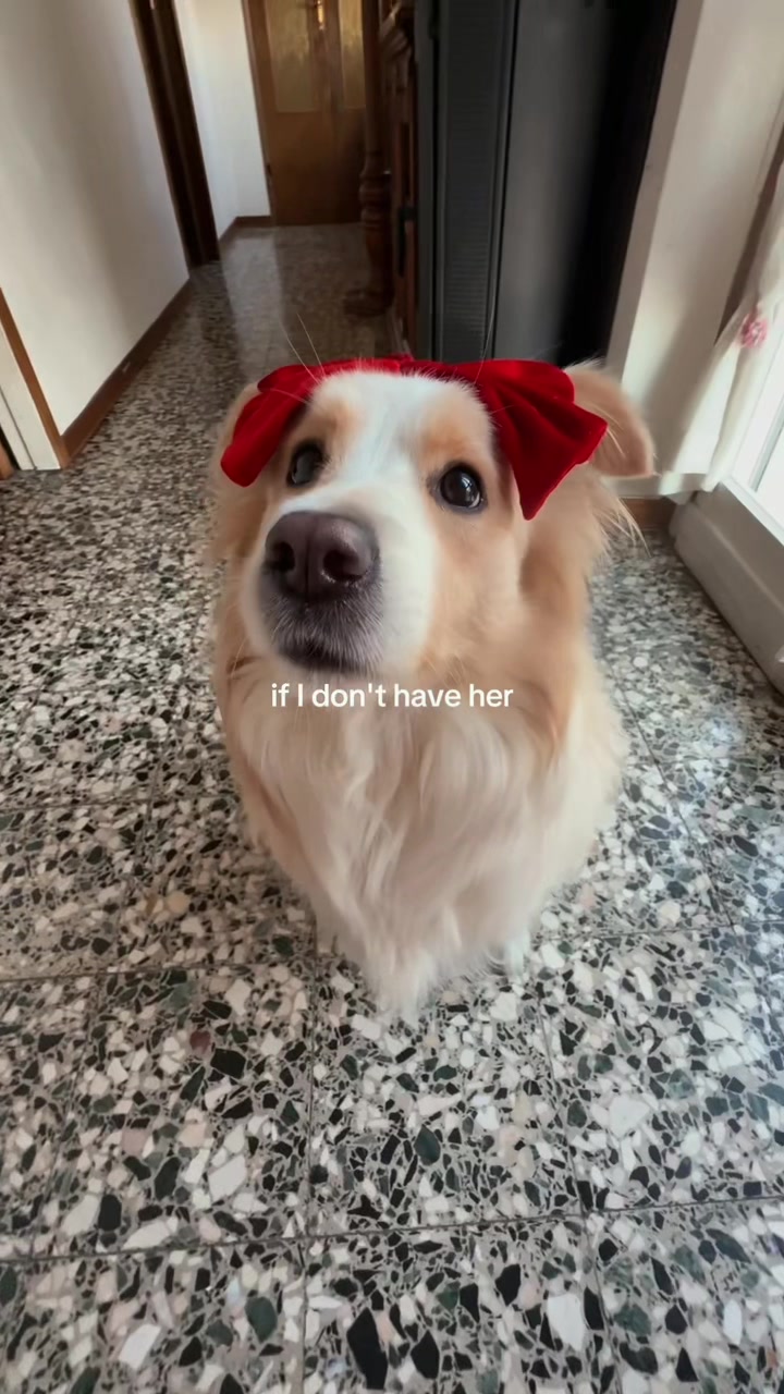 @auroramariani