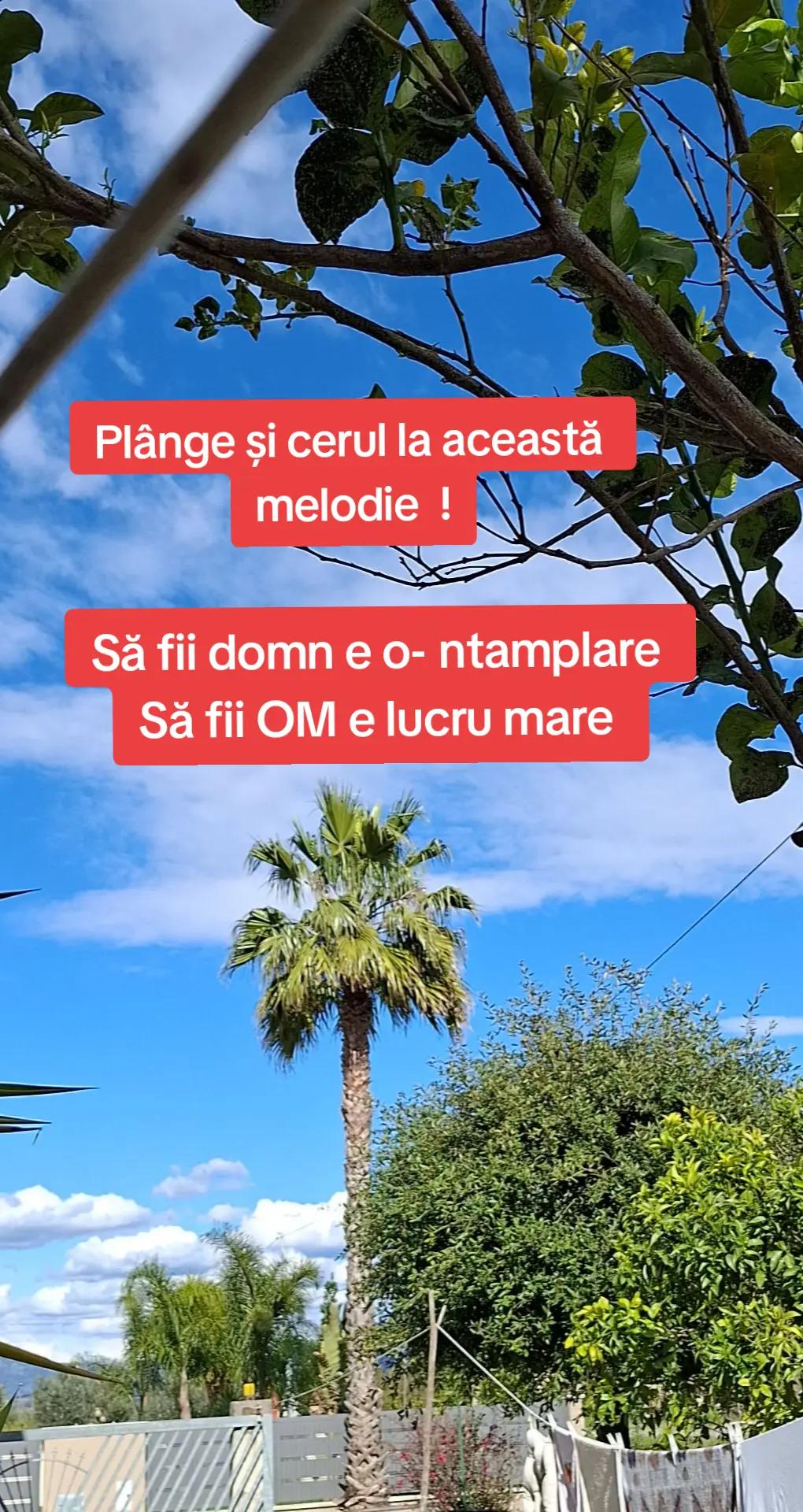 @Cristina Valentina
