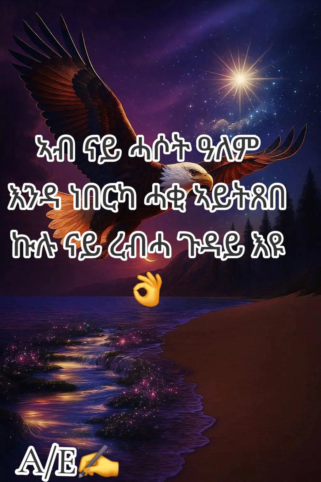 @ኣቢ ሊባናይ🇪🇷🌹🇳🇱&hearts;️💯💒✝️✅