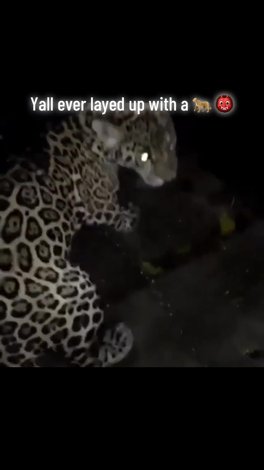 @🐐 Bullyxonxgo💰