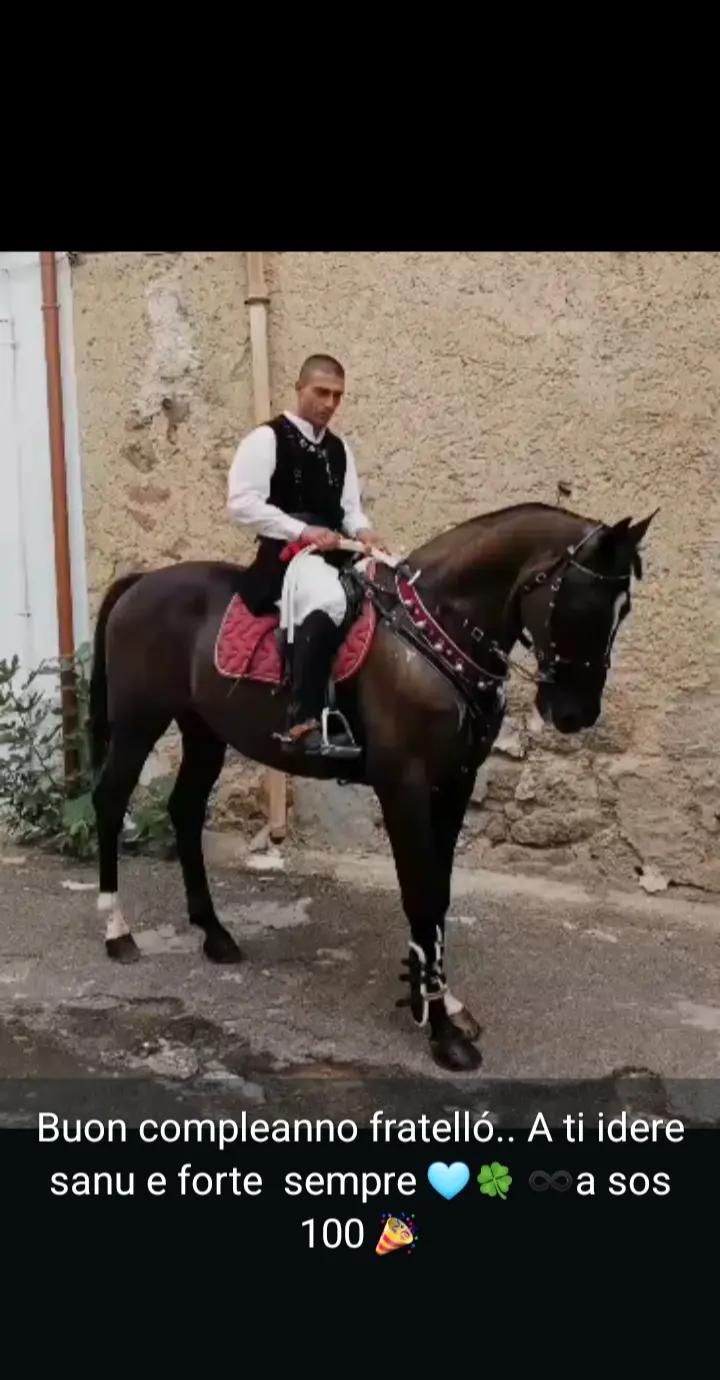 @Sebastiano Cosseddu