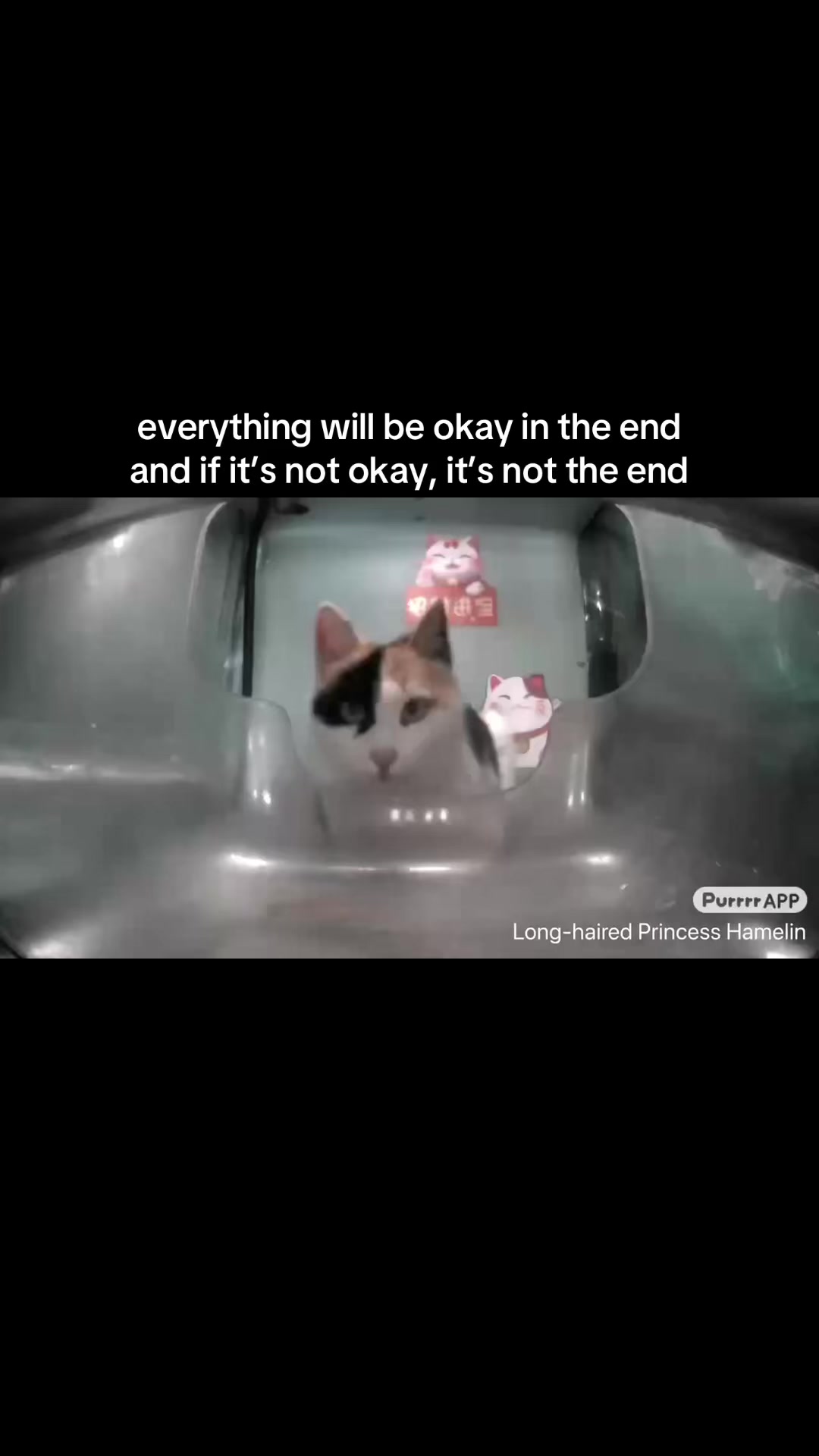 @Anniuoii 🔮🧿