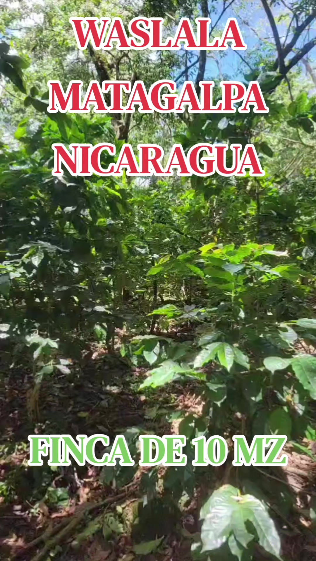 @@ventadefincasnicaragua