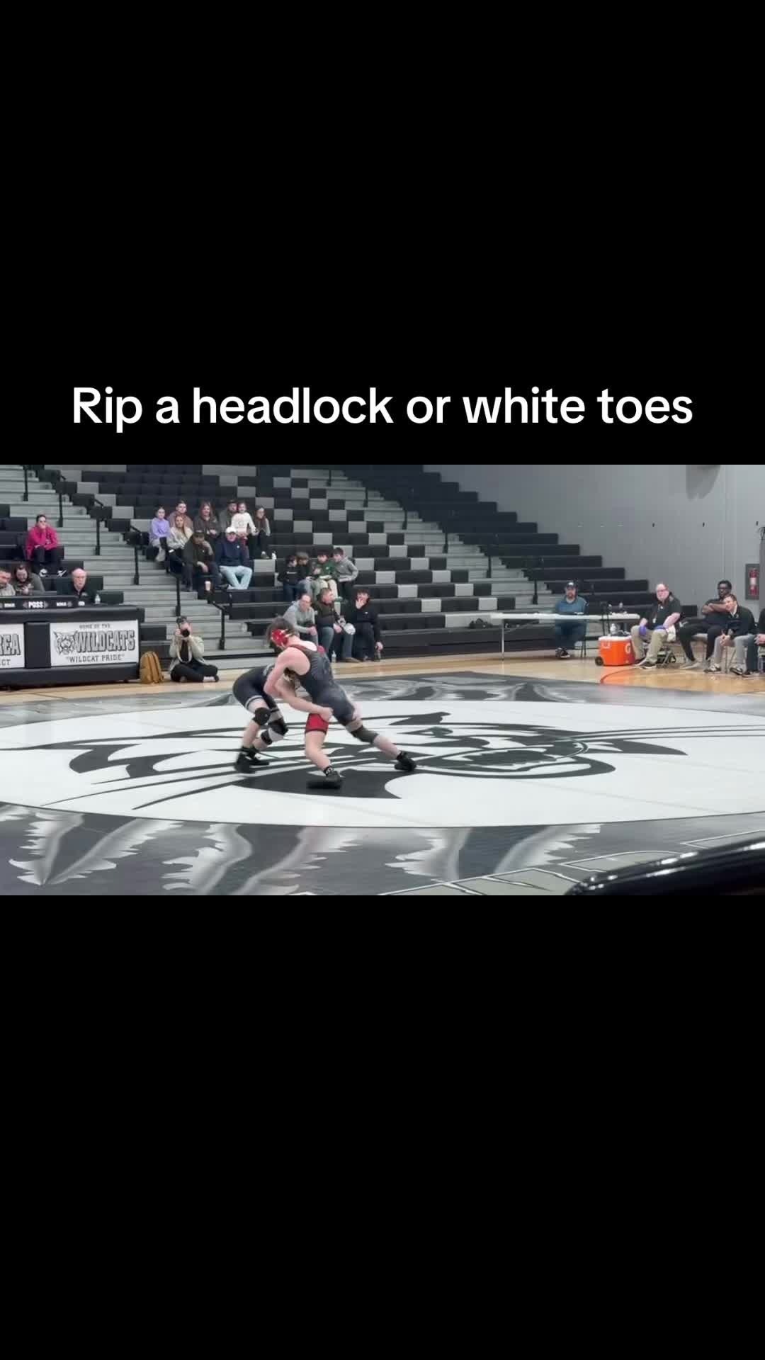 @Treyton