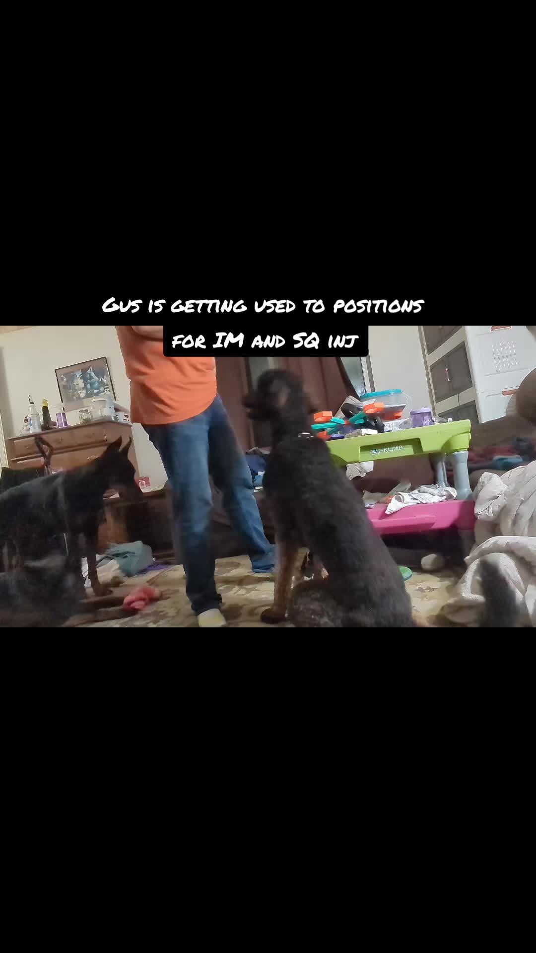 @Muttstrutt
