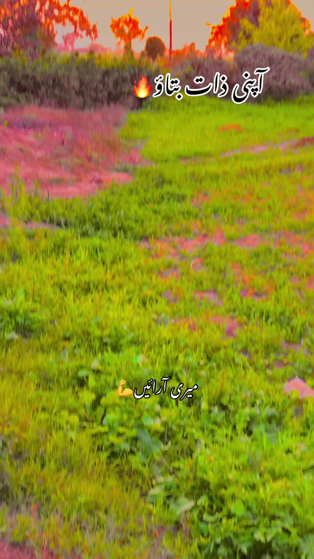 @🌾🌱پنجابی کلچر 🌾🌱