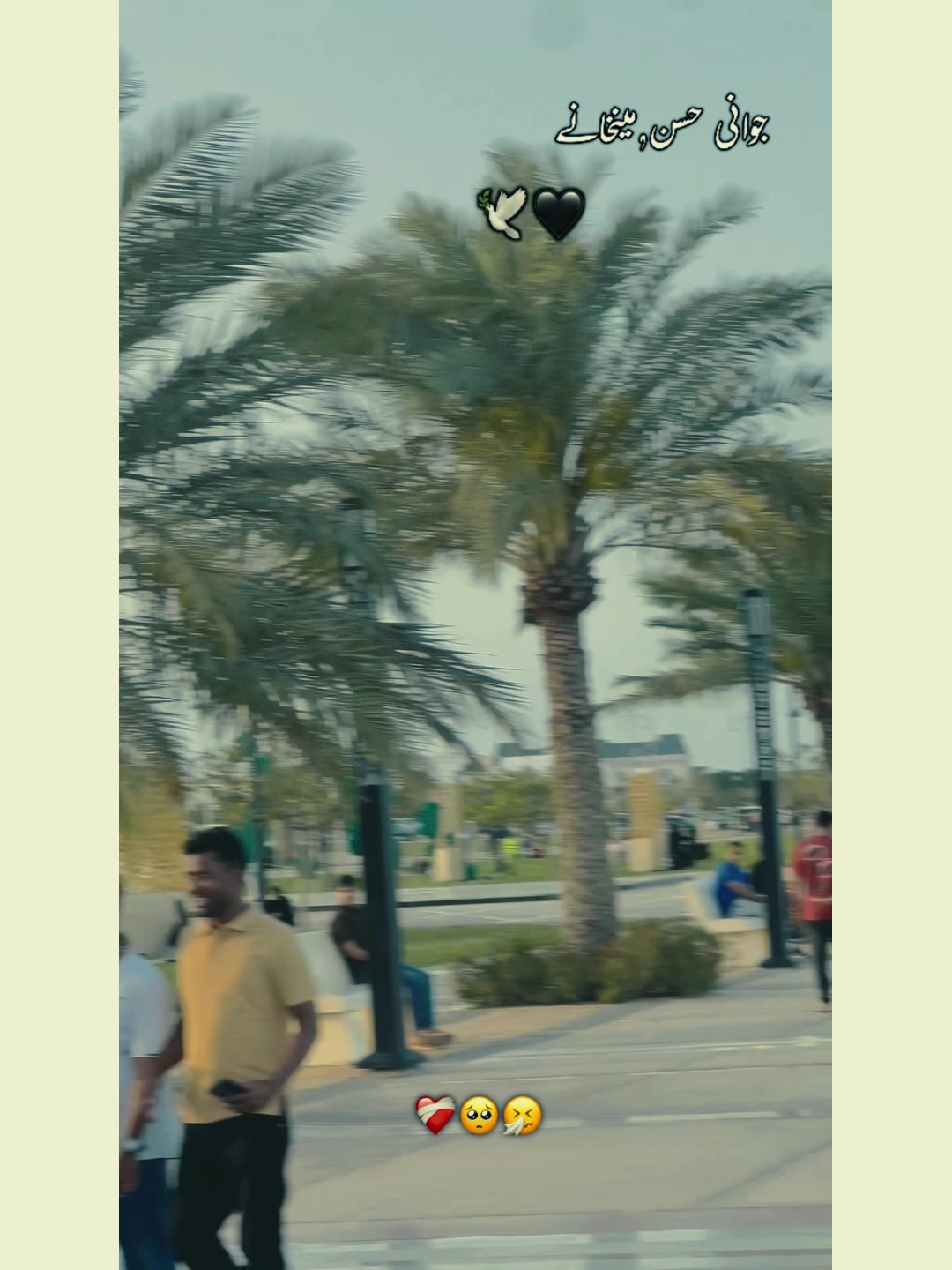 @🔏حیدر ✨🇸🇦
