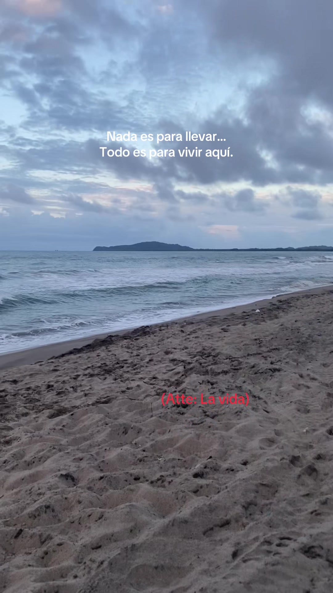 @☘️11:11🍁♡🌼&bull;&deg;𝐅𝒂𝒃ἶ&deg;&bull;🌼♡🐣