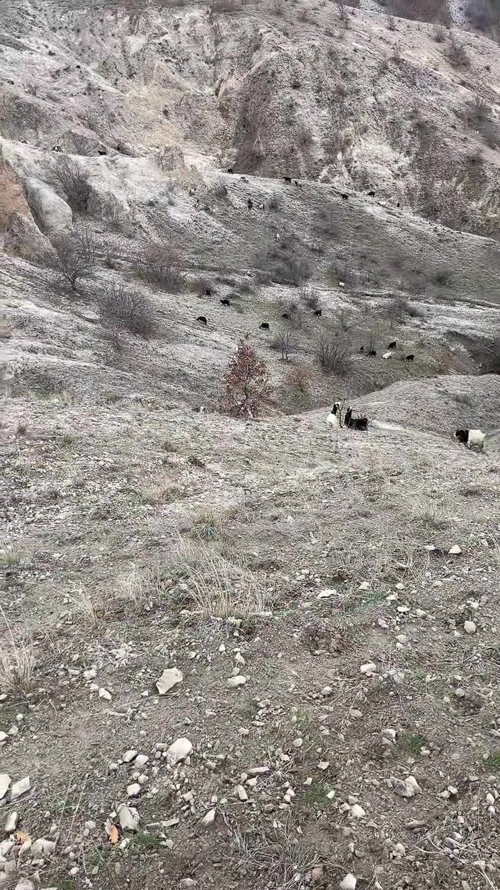 @Gazi.sarıkaya