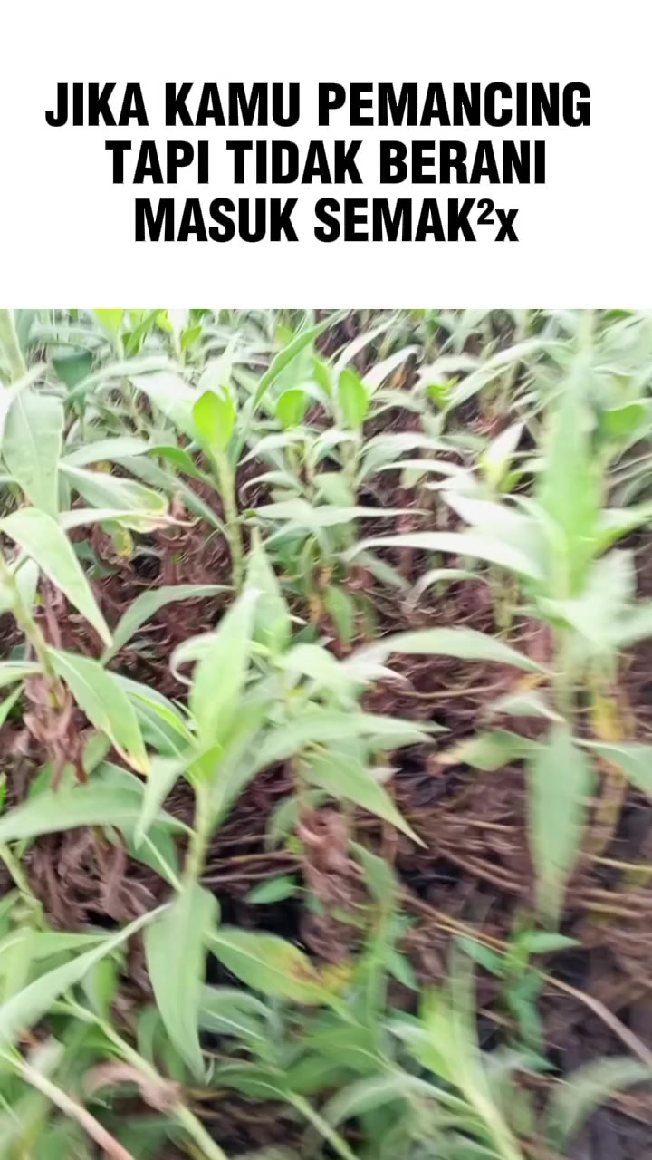 @kii_boyy27🚀