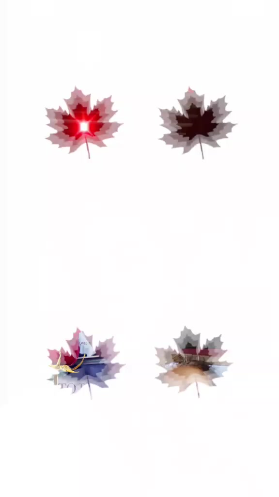 @https://vm.tiktok.com/ZSHnJHft