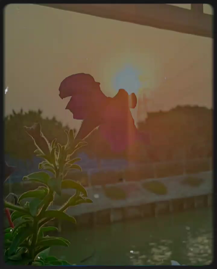 @ꫝʟᴏɴᴇ 〆  Bijoy