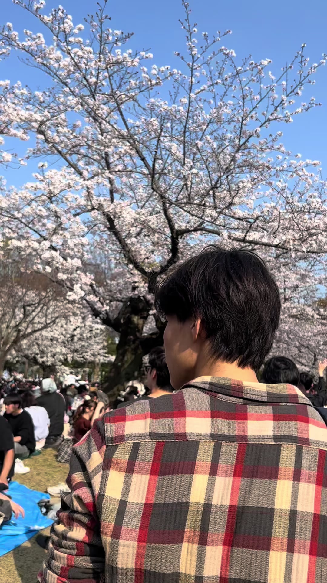 @佐藤一会