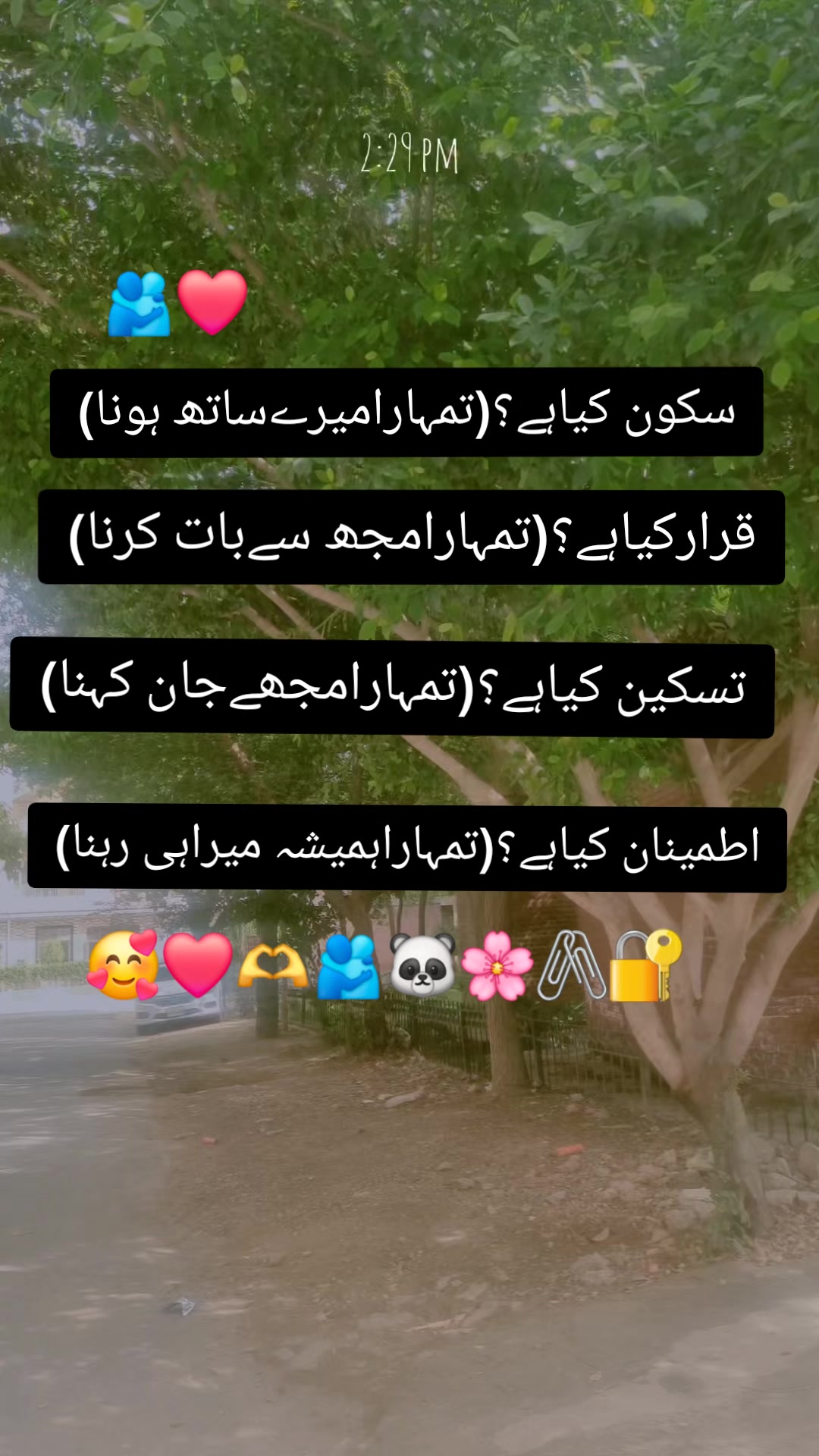 @Alizyy🧚