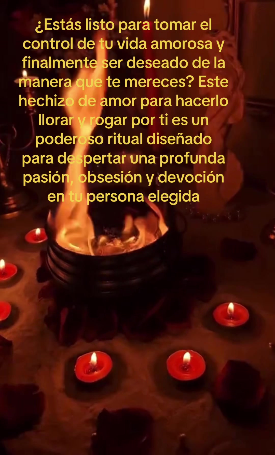 @En Las  manos de San Judas