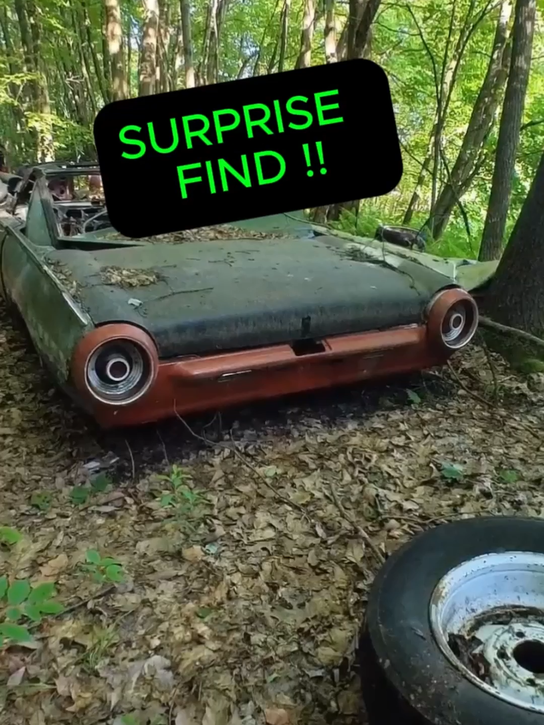 @DD Explores