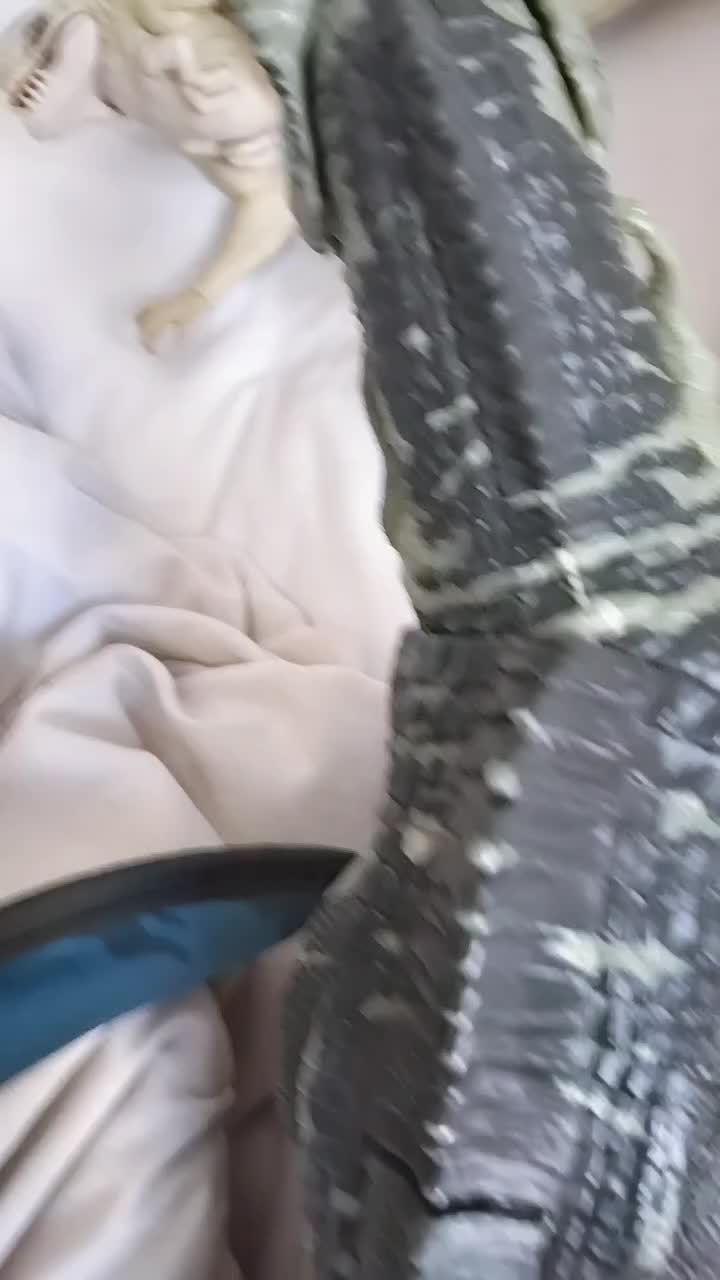 @Dinosaurs fan 🦖