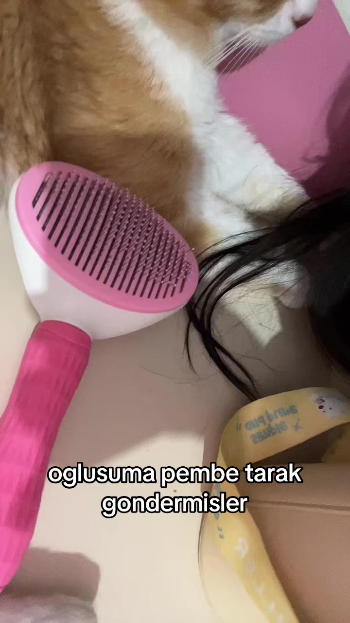 @larvia