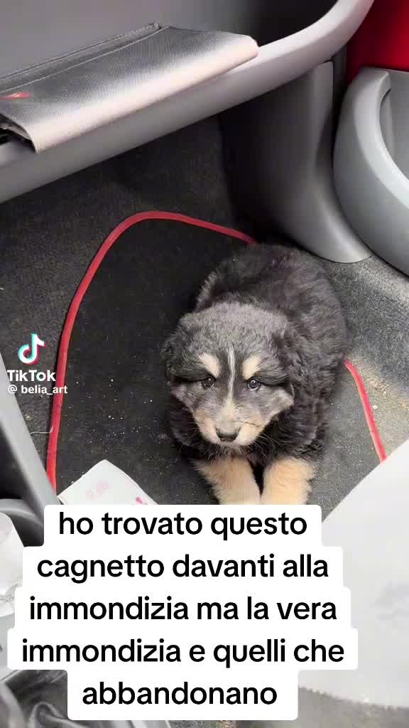 @Francesco Fotia