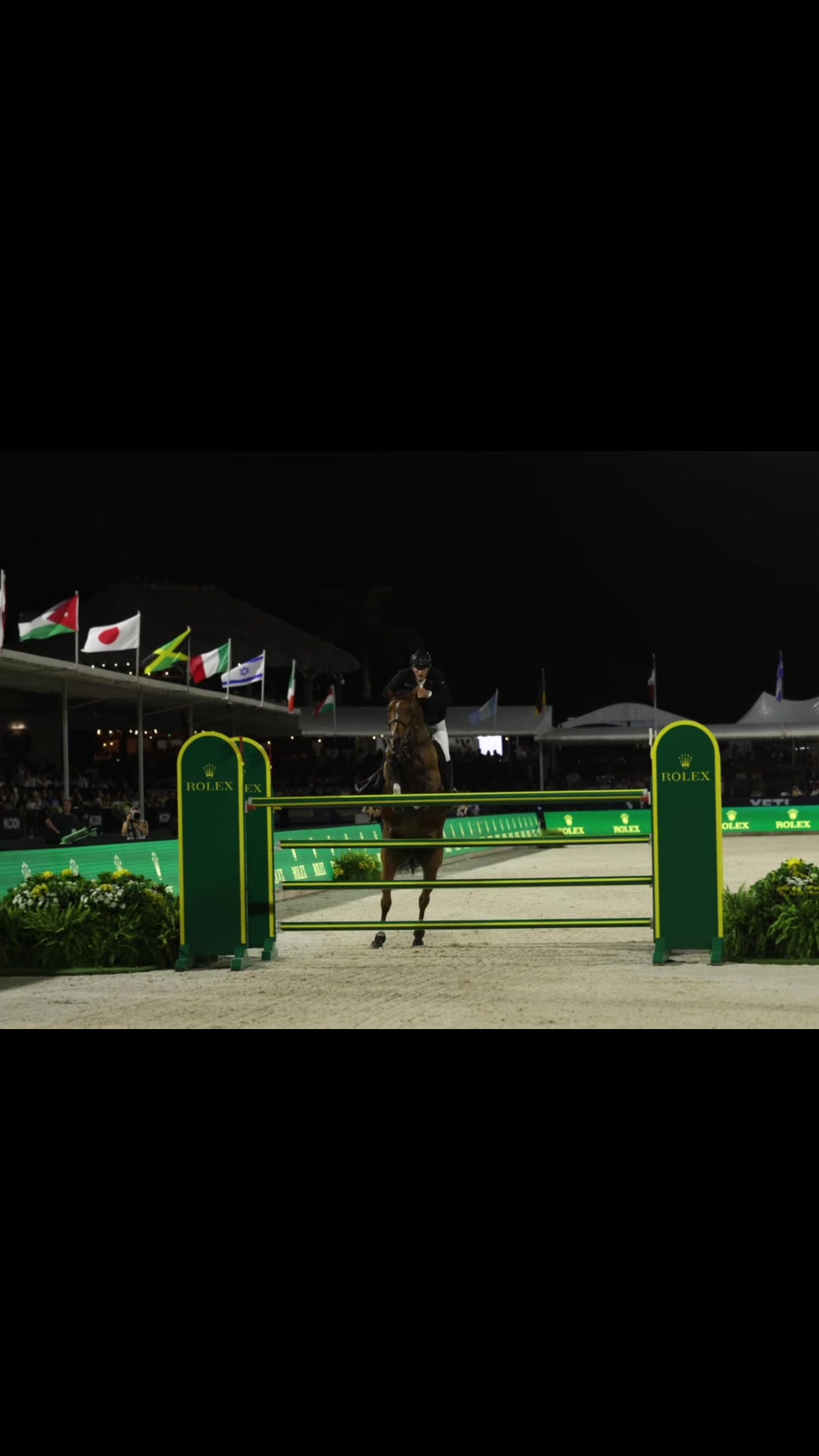 @Stacy | Equine Photography