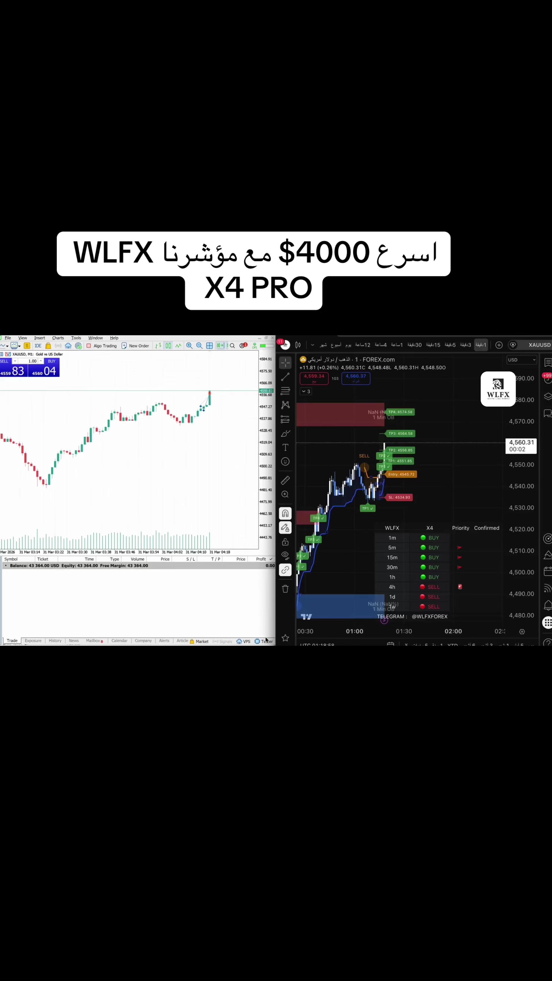 @WLFX.forex