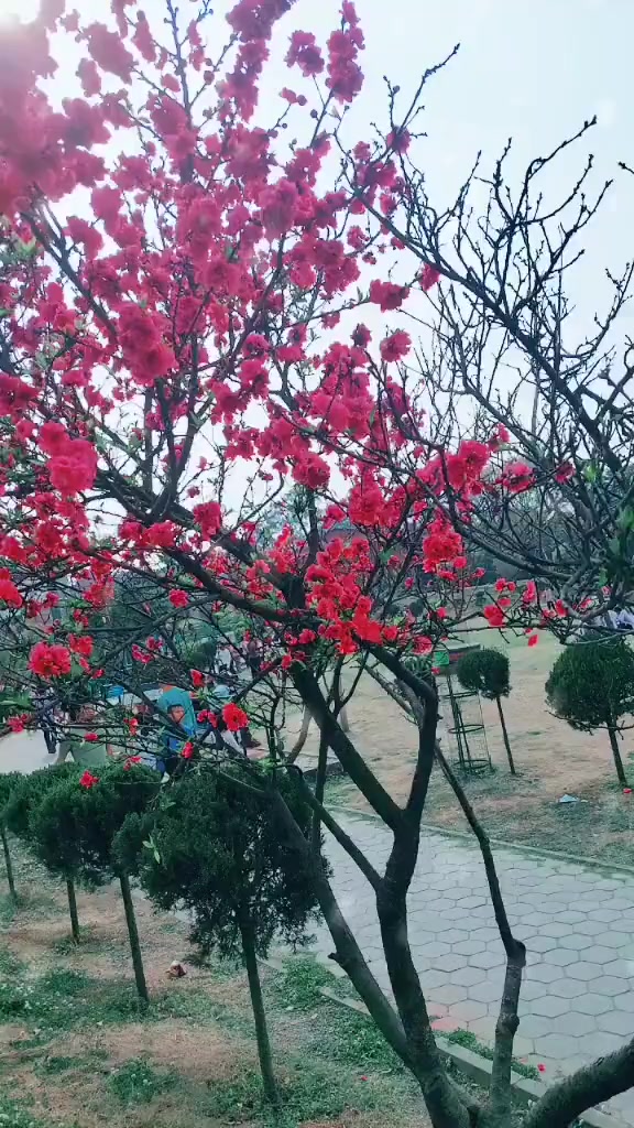 @Sabita Adhikari