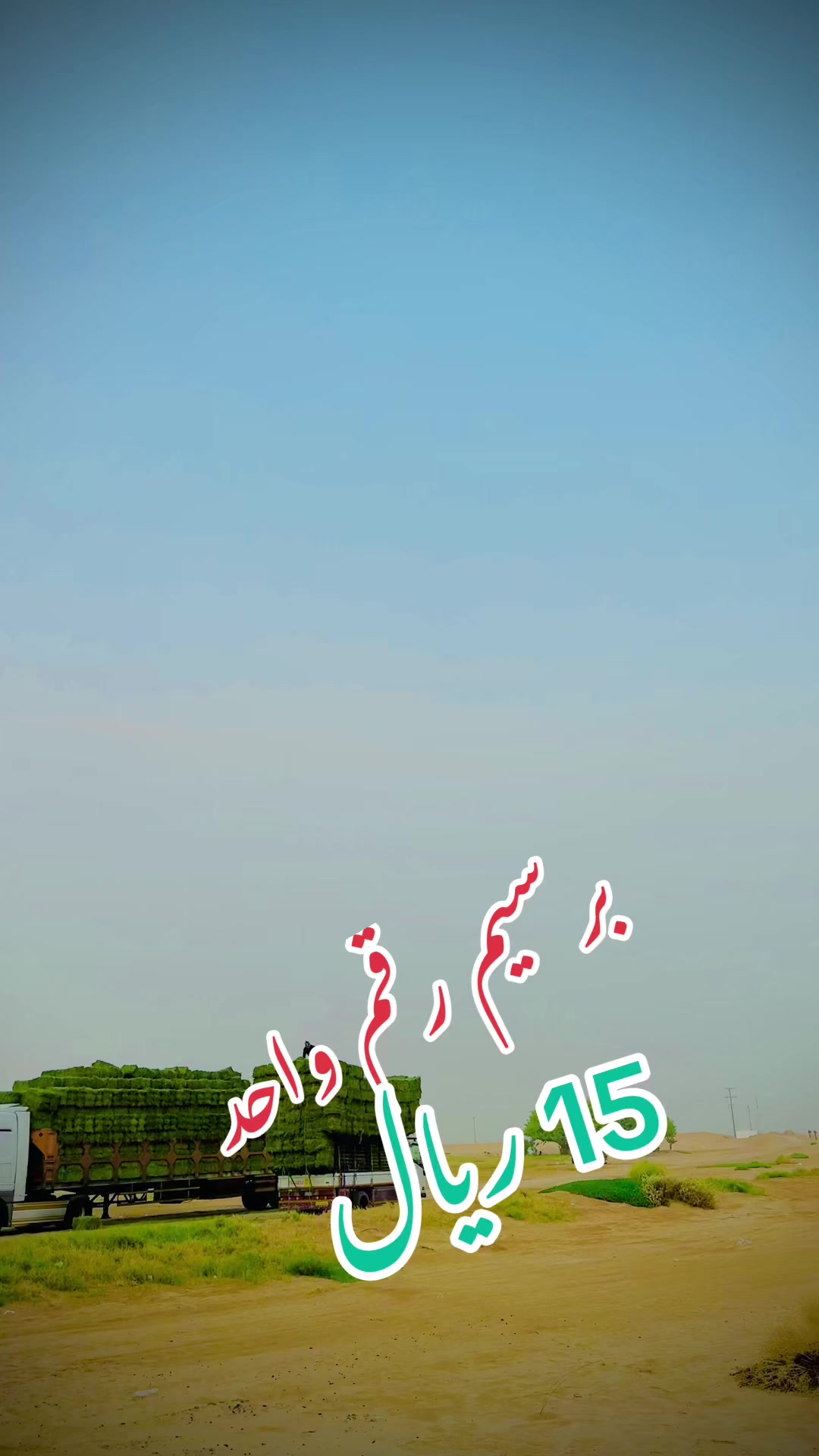 @Afsar ali🦅🌹🇵🇰
