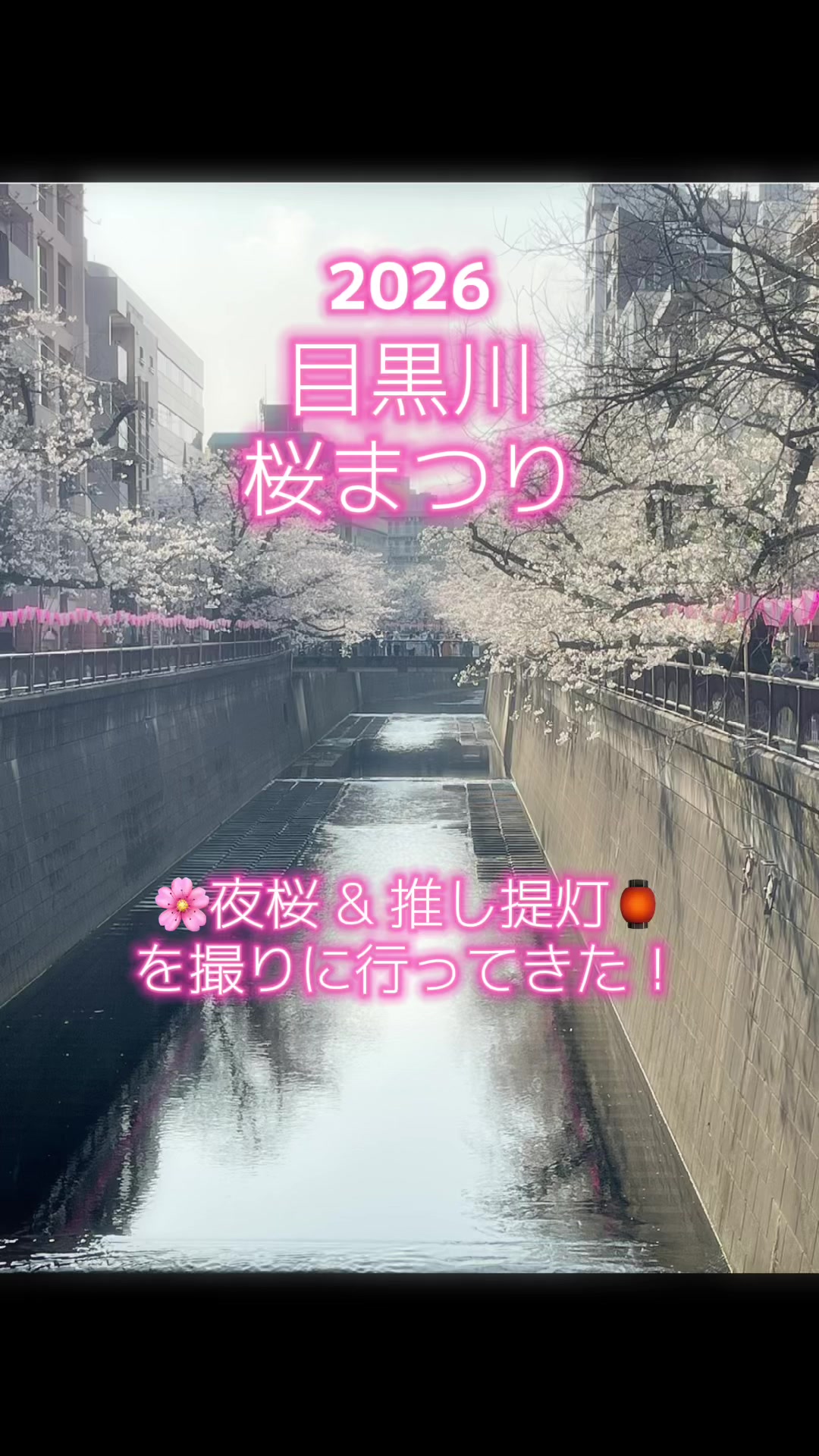 @meguro_no_sanma