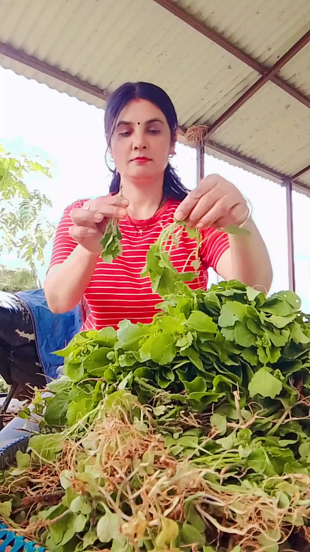 @Gita Sharma